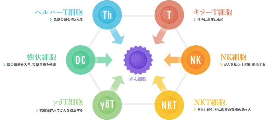 6種の細胞の図