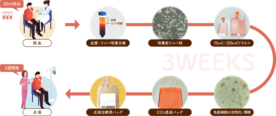 治療フロー